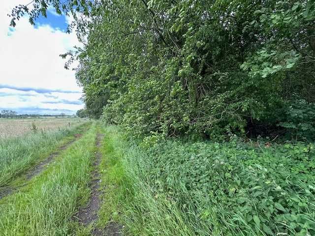 Siedlisko - Działka - warunki zabudowy - Kościuszki!!