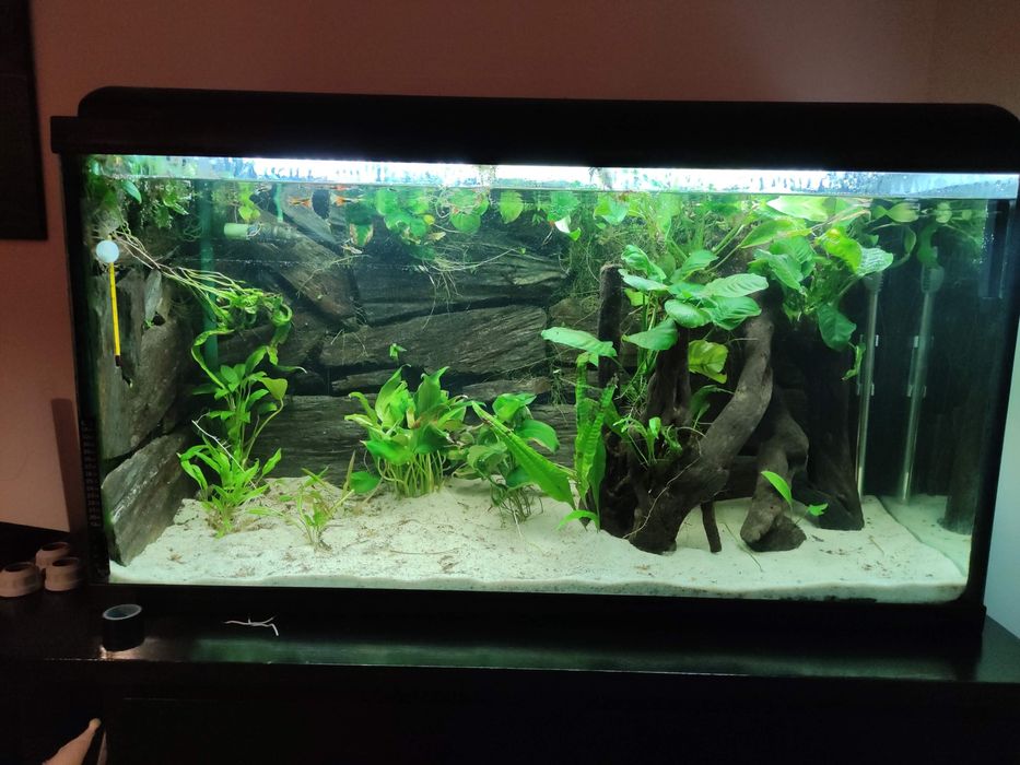 Aquario 220L c/filtro