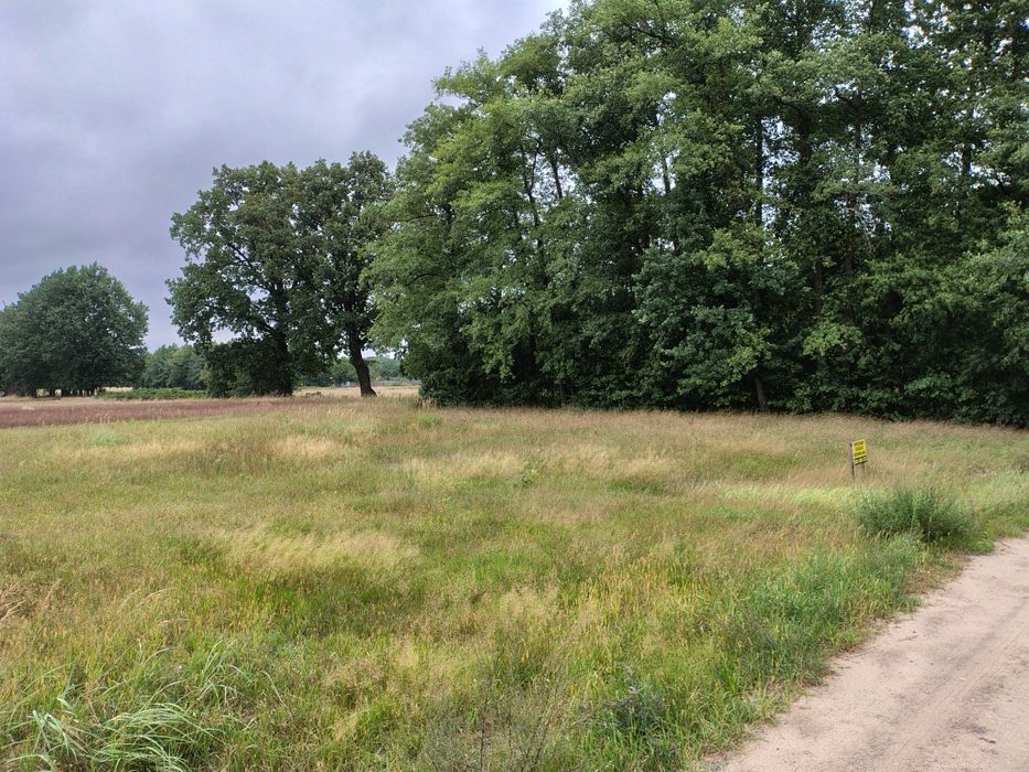 Sprzedam działkę z WZ na dom jednorodzinny Rosocha koło Konina - Widok 3