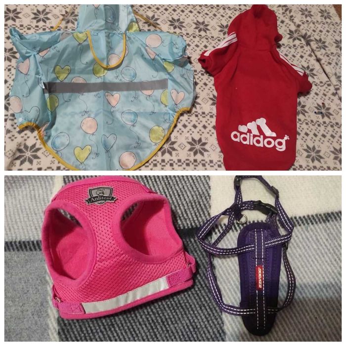 Жилетка жилетка дождевик для тварин для собаки