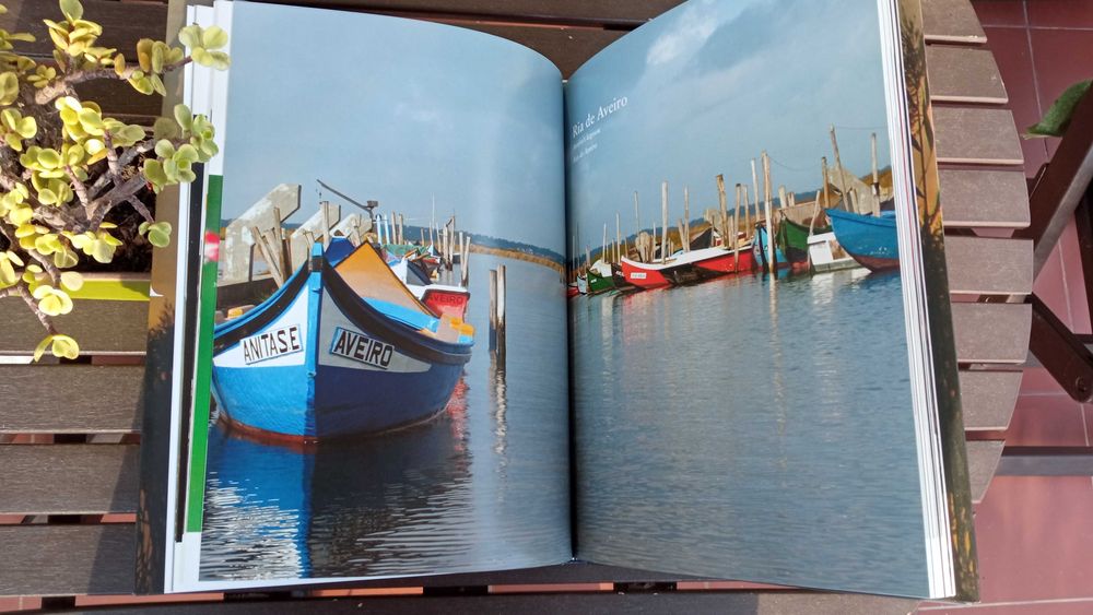 Estarreja - Património Natural