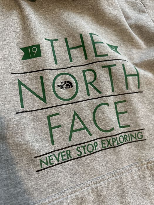 Сірий худі The North Face оригінал, розмір L