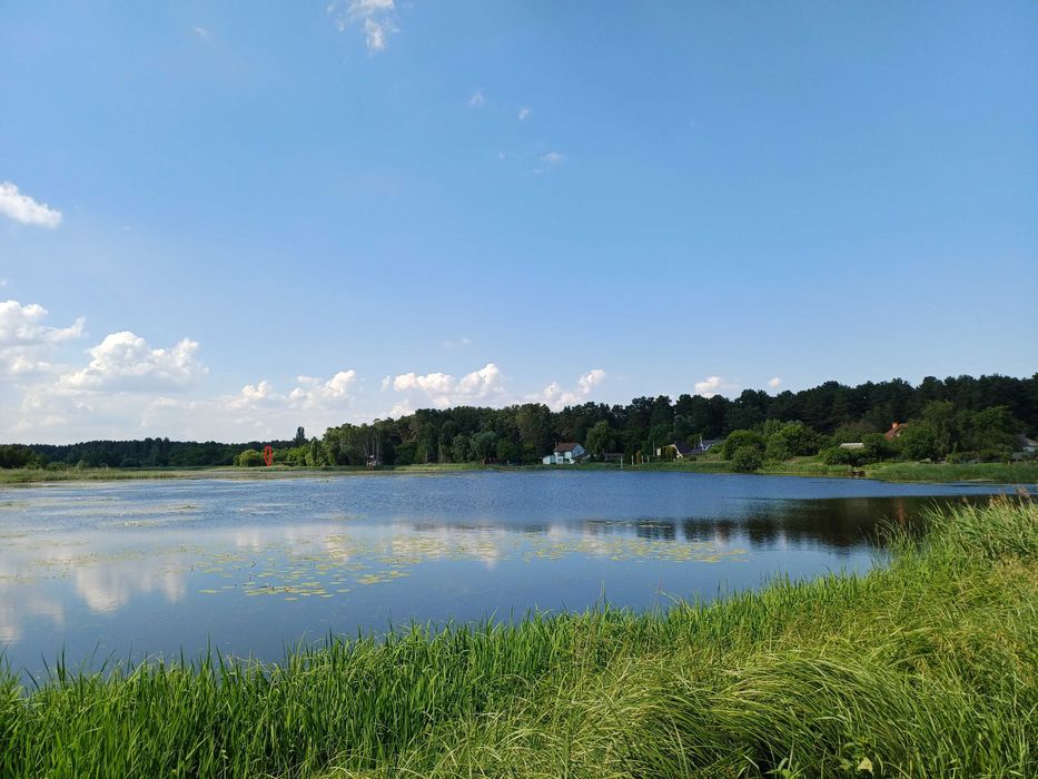 50 соток біля води та лісу | Власний берег | Глібівка | Київське море