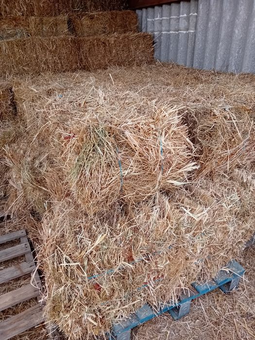 Vendo fardos de feno