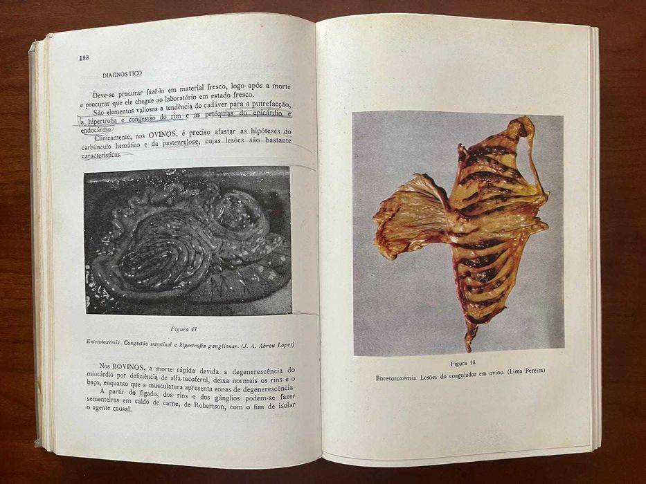 Livro "Doenças Infecto-Contagiosas dos Animais Domésticos"