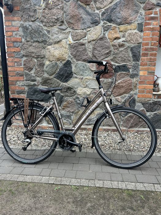 Rower Gazelle Chamonix Trekking