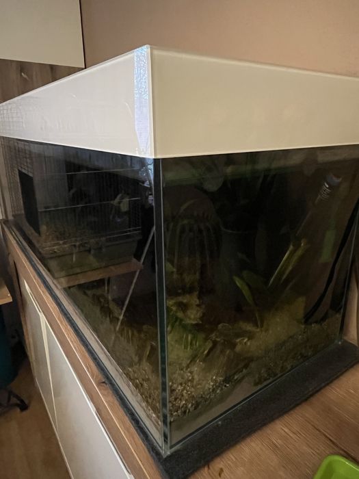 Akwarium zestaw 180l z rybkami