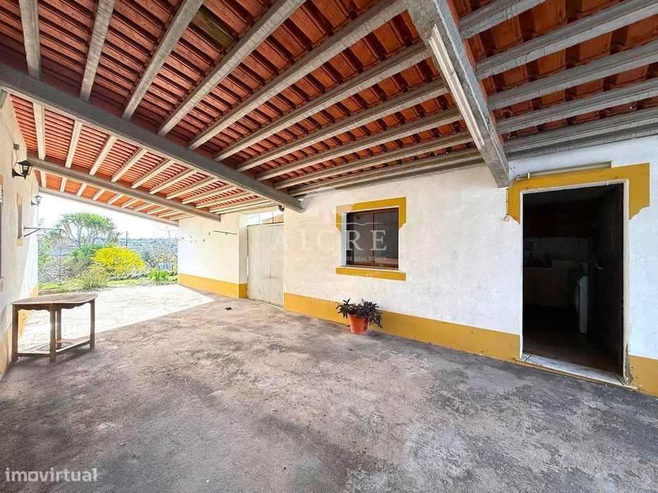Quinta com 1,025 Hectares – Azaruja, Alentejo | Excelente Oportunidade