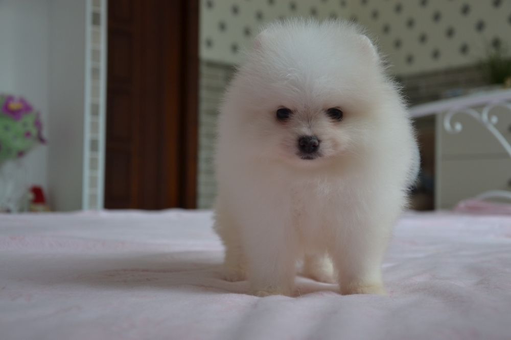 Хлопчик красунчик! Доставка.