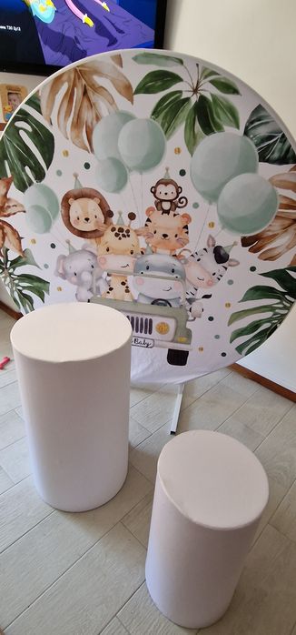 Decoração Safari para alugar