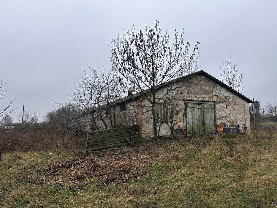 Приміщення , ангари , оренда , ферми,продаж , Село пятка