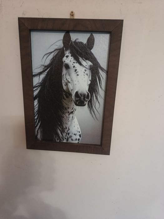 Koń, grafika w ramie swierkowej
