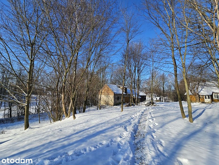 Siedlisko na sprzedaż pod Bychawą