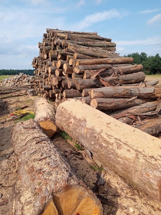 Dąb, Buk, Brzoza, Jesion, Sosna- Drewno Kominkowe, Opałowe