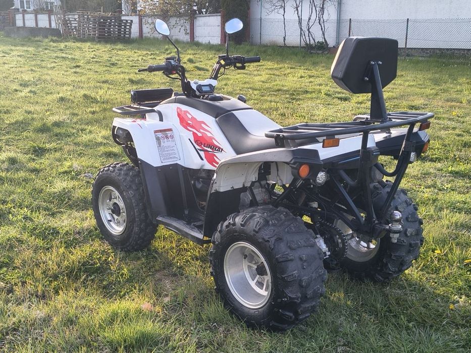 Квадроцикл Linhai z180 .