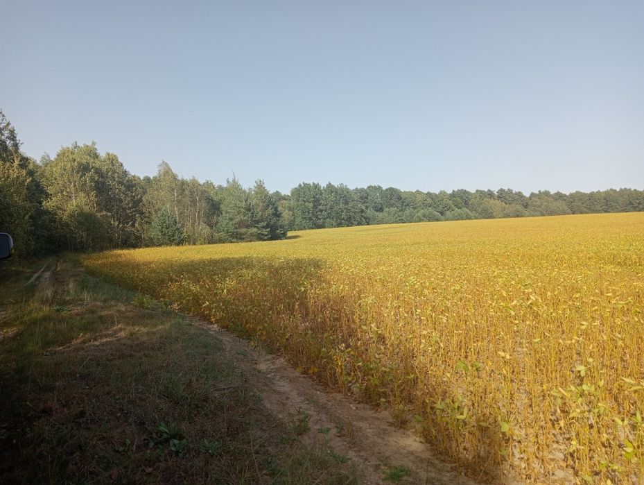Продам земельні ділянки, 8 га