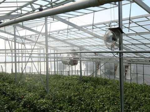 Кондиціювання ( охолодження туманом) , вентиляція