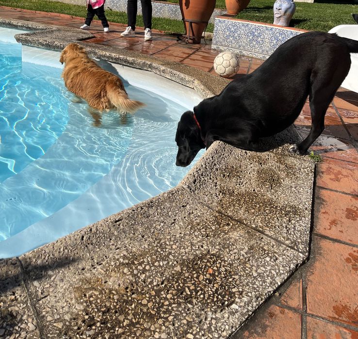 Tratamento de Piscinas – Barcelos e Braga