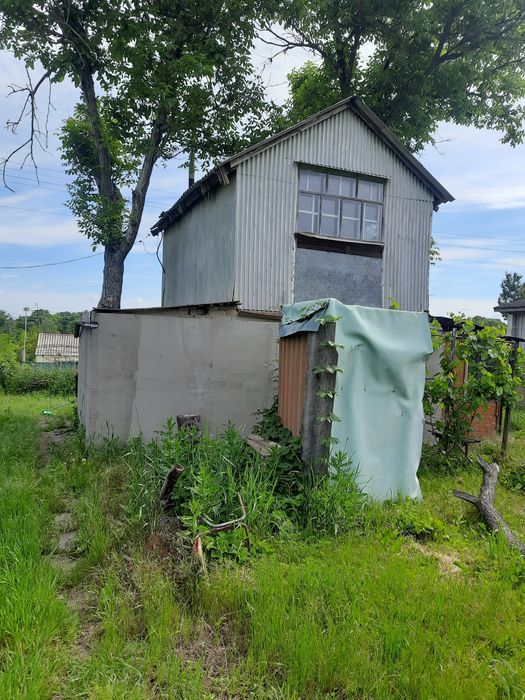 Дача товариство Мрія