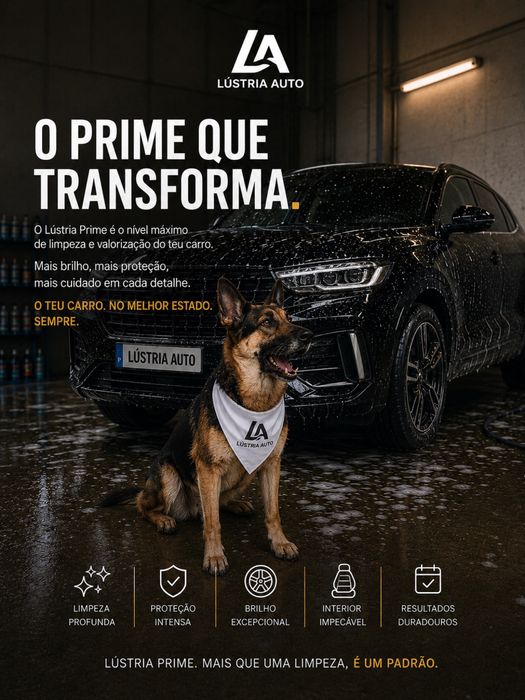 Detailing Automovel