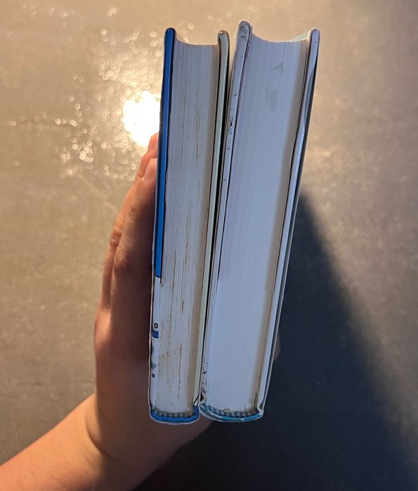 As viagens de Gulliver e A volta ao mundo em 80 dias