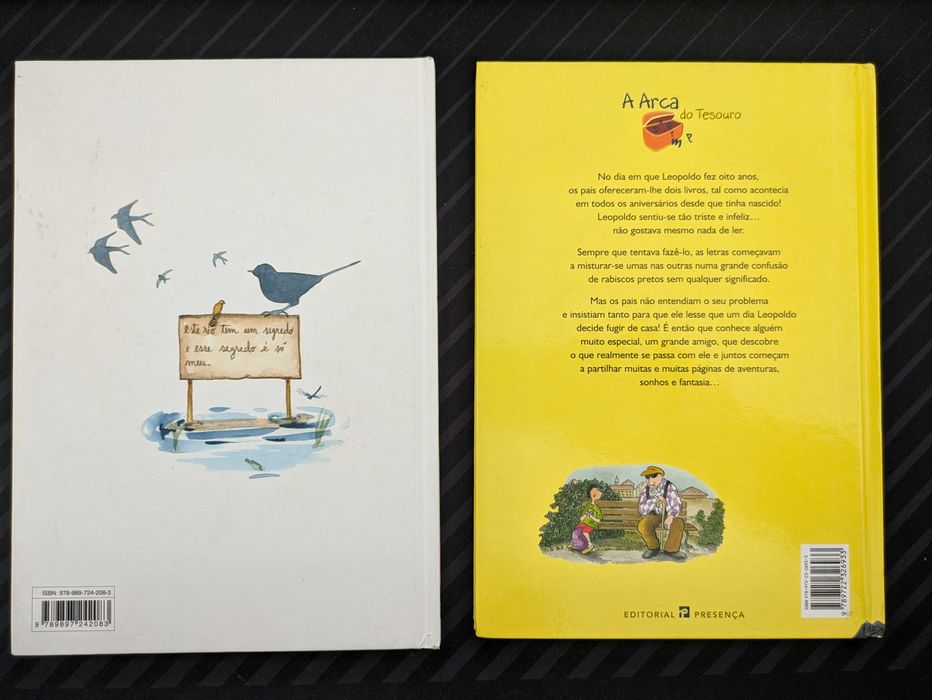 O Segredo do Rio - O Menino Que Não Gostava de Ler