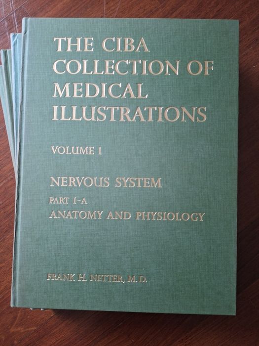 4 livros Netter de anatomia e fisiologia