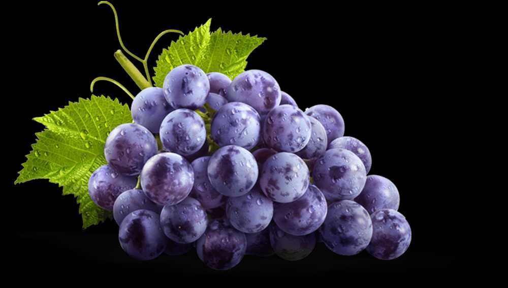 Alburitel - Ourém, Vendem-se Uvas