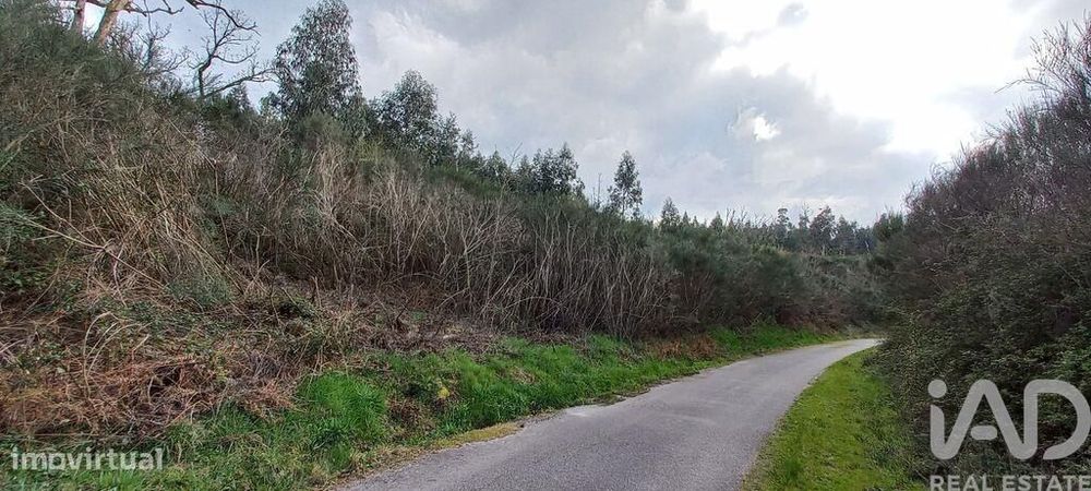 Casa rústica em Cambra e Carvalhal de Vermilhas de 3971 m2