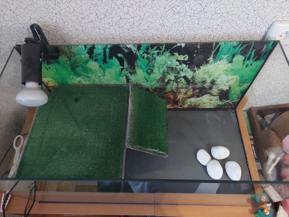 Акваріум для черепахи