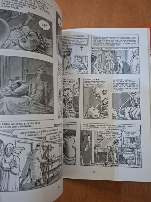 A arte de Voar " Novela Gráfica "