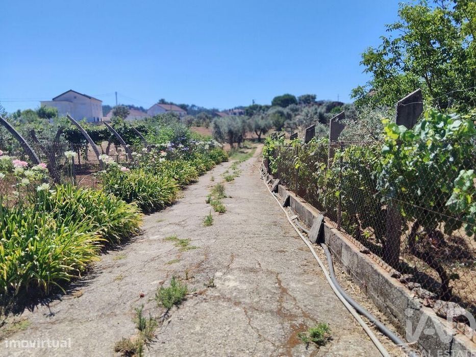 Terreno em Castelo