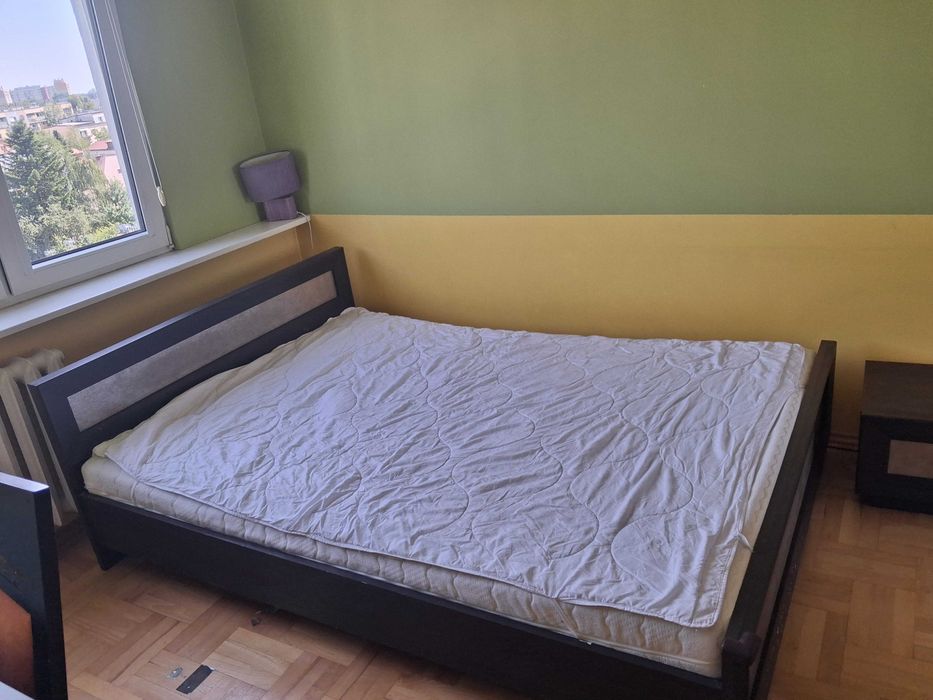 Zdjęcie 8