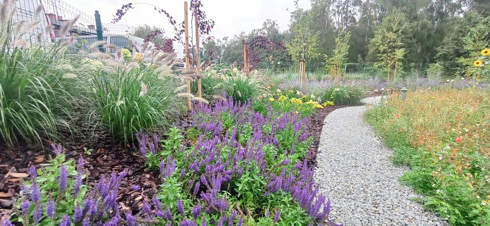 Usługi ogrodnicze, zakładanie, projektowanie i pielęgnacja ogrodów