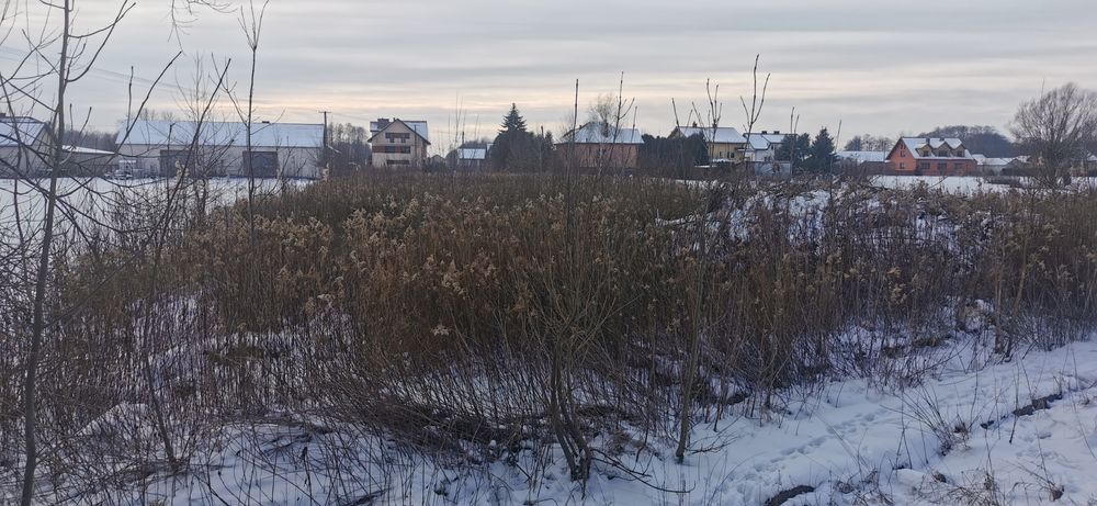 Wynajmę działkę 3000m2  Ręczaje Polskie