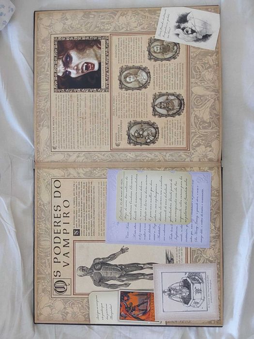 Vampirologia: A Verdadeira História dos Anjos Caídos" (Edição Especial da Brinque-Book). - como novo