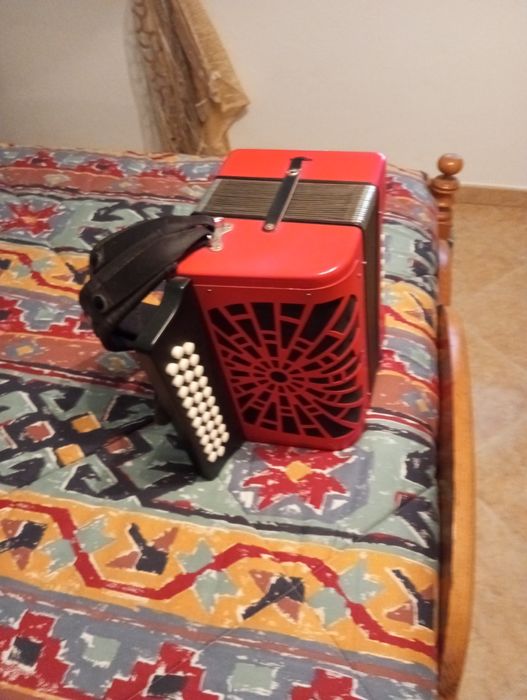 Vendo acordeão.       .