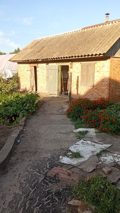 Продається будинок  70 квадратів від власника, район Плискунівка