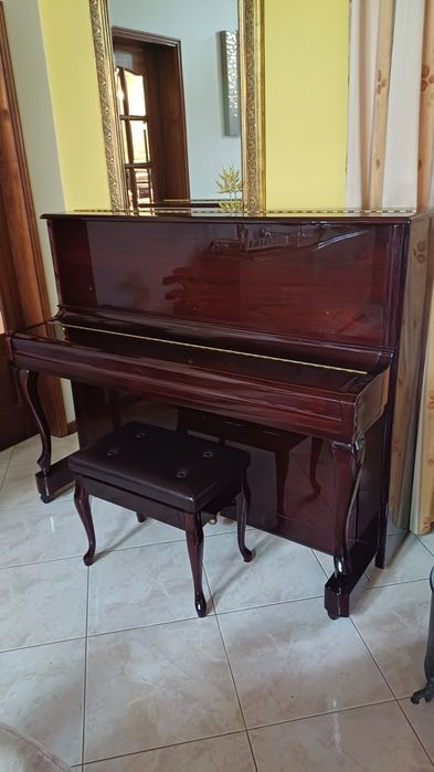 Piano TOYO com novo