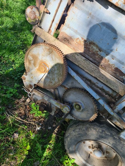 Rozrzutnik polski czarna białostocka części