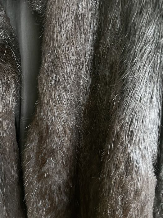 Korzuszek - plaszczyk Nutria czarny