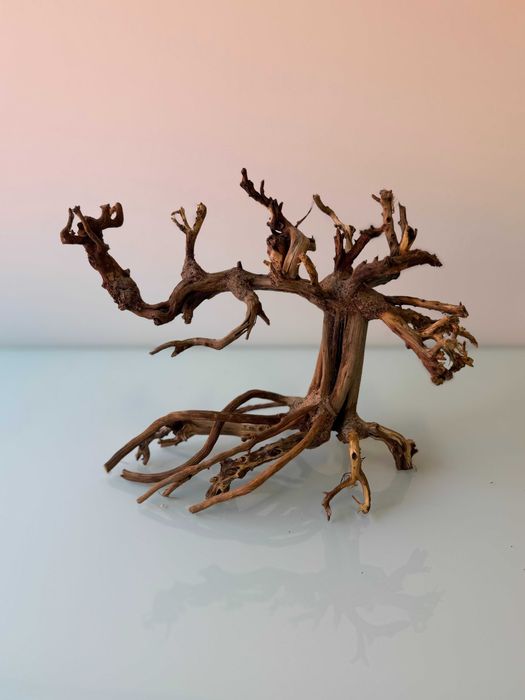 Szybko tonące drewno bonsai
