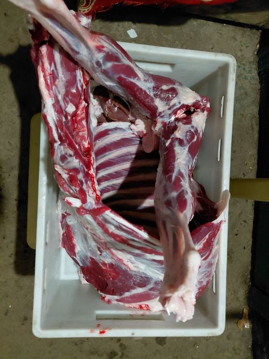 Мясо( без кістки), тушка Баранина, козлятина,  ягнятина . СВІЖЕ!