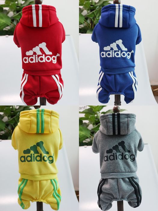 Комбінезон, спортивний костюм для собак