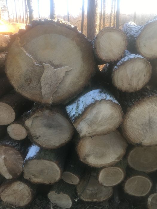 Drewno Drzewo  opałowe dąb cięte łupane