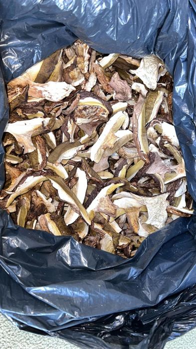 Гриби білі мариновані і сухі білі і брусніка  2025 рік