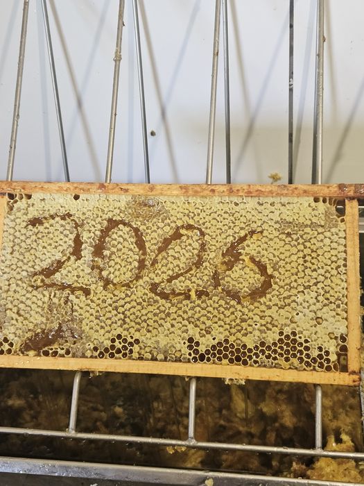 Miód naturalny pszczeli 2026r