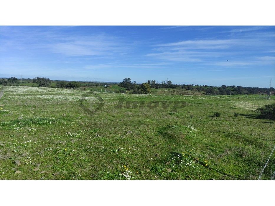 Terreno rústico de 0,775Ha localizado na Dogueno - Almodôvar