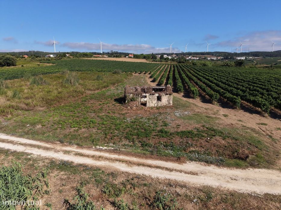 Terreno rustico em Carvoeira, torres vedras