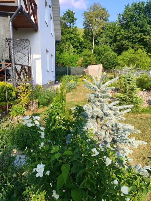 Продам свій дім є Розстрочка